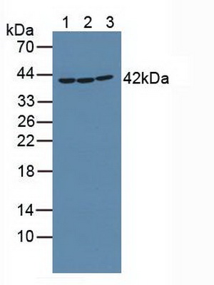 4950