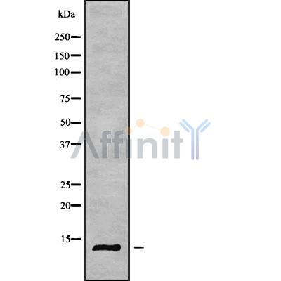 Валидация Affinity DF10096 - 5590