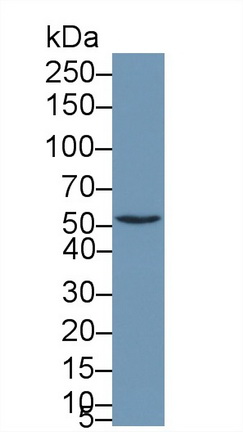 12350