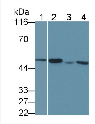 19212