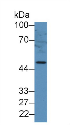 9049