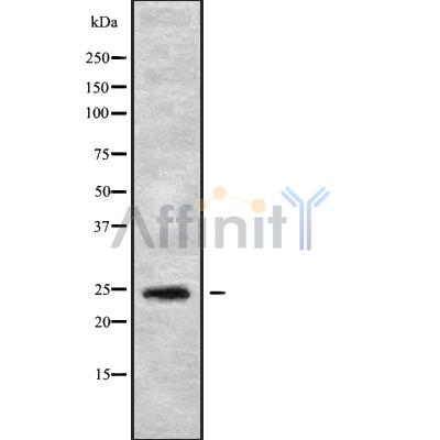 Валидация Affinity DF10166 - 5699