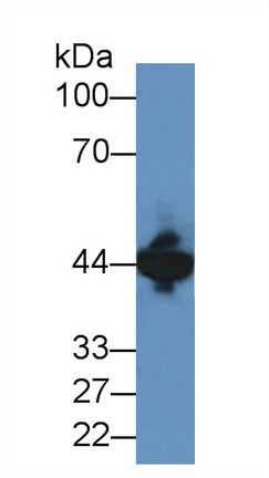 8354