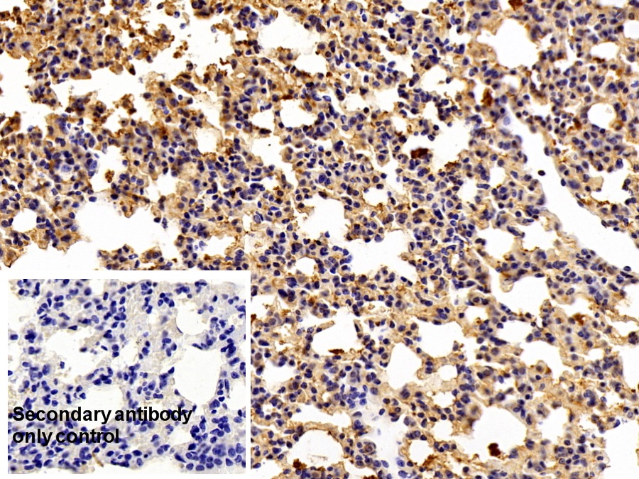 3931