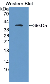 41422