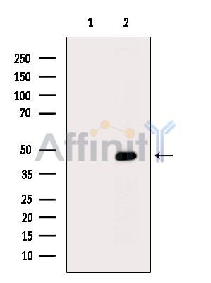 Валидация Affinity DF14304 - 10188