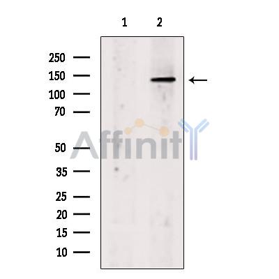 Валидация Affinity DF13422 - 8726