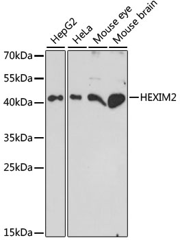 Валидация Elabscience E-AB-65366