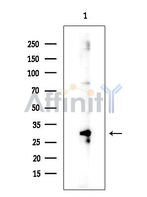 Валидация Affinity DF4544 - 16128