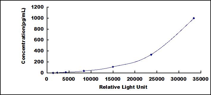 46094