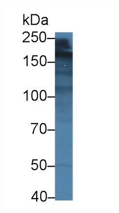 14370