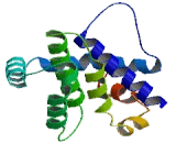 Myeloid Cell Leukemia Sequence 1, Bcl2 Related (MCL1)