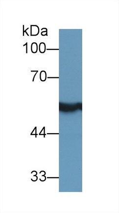 13396