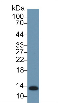 17672
