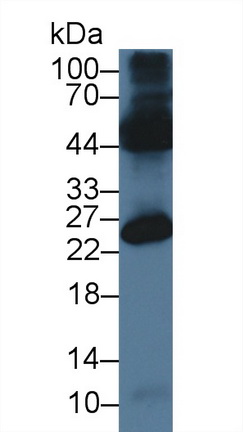 9480