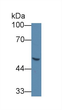 10506