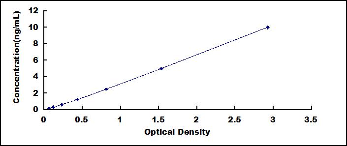 65141
