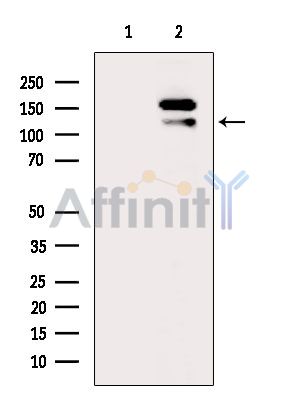 Валидация Affinity DF14113 - 9904