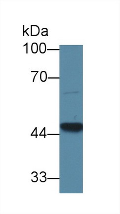 8960