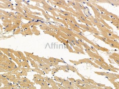 Валидация Affinity DF3847 - 14982