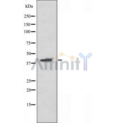 Валидация Affinity AF5263 - 2775