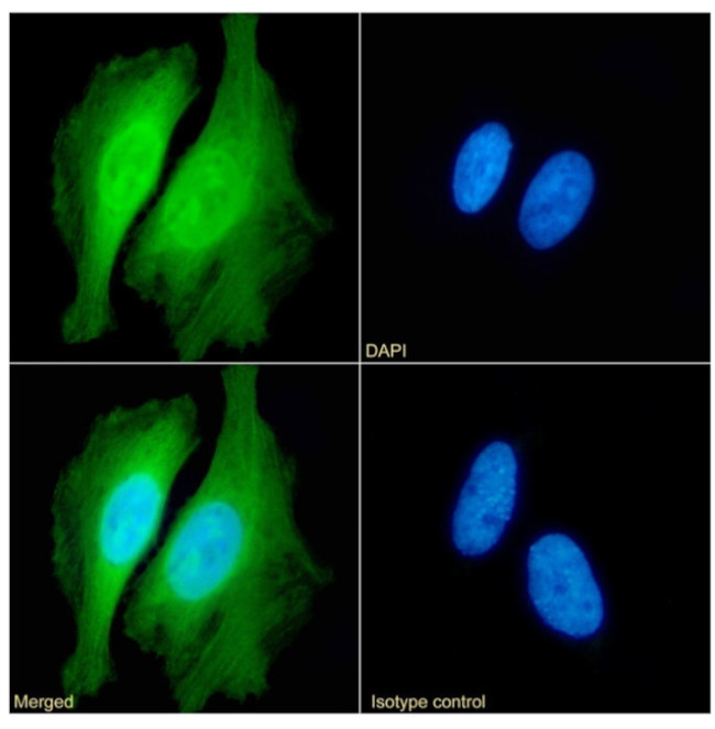 Валидация AssayVector ARM2224(3727)