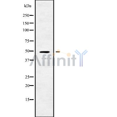 Валидация Affinity DF10162 - 5694