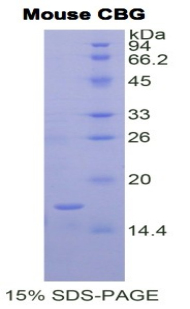 48135