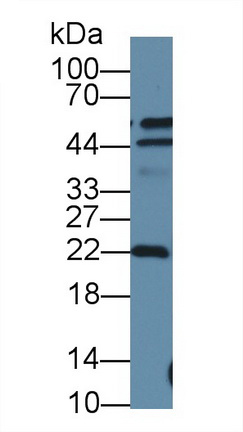 14108