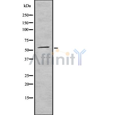 Валидация Affinity DF8434 - 20312