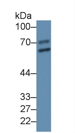 8370