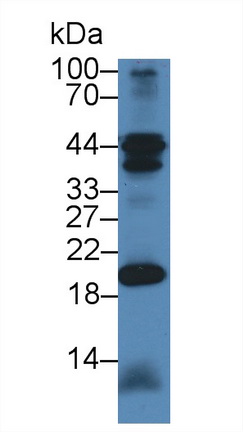 8798