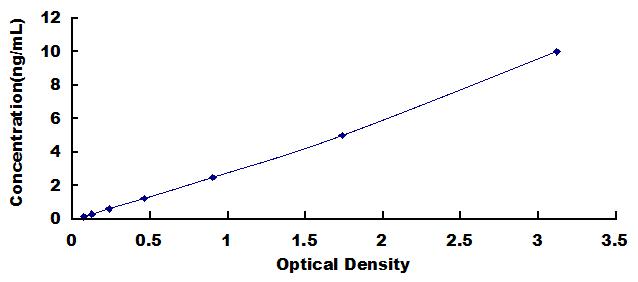 38241