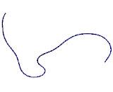 Surfactant Associated Protein A (SPA)