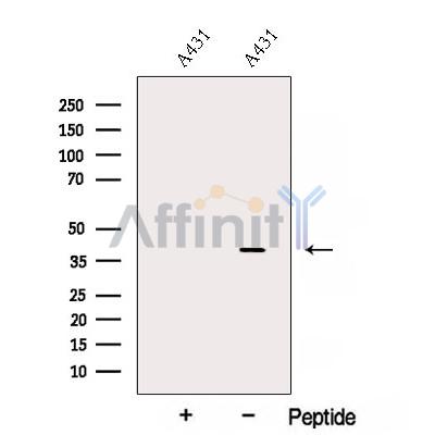 Валидация Affinity DF12822 - 7532