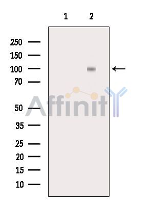 Валидация Affinity AF6559 - 3866