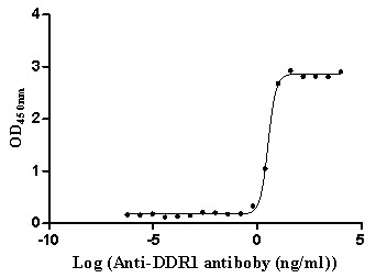 Функциональный ИФА: связывание рекомбинантного антитела к DDR1