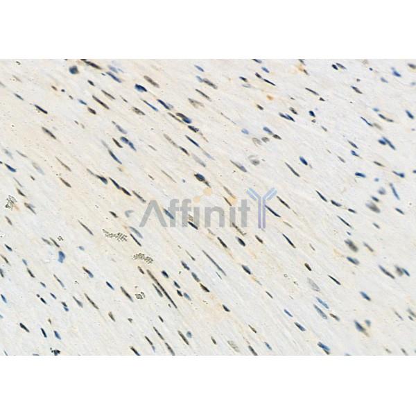 Валидация Affinity AF9207 - 5039