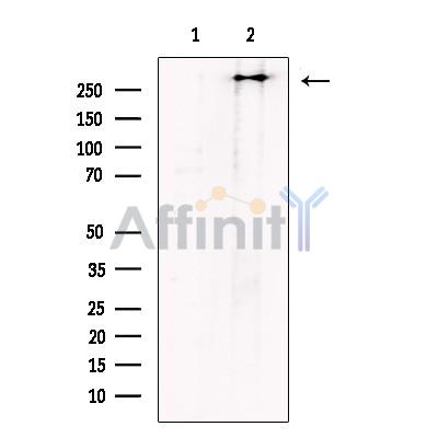 Валидация Affinity DF13419 - 8719