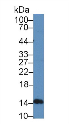 9014