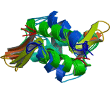 Histone (HIS)
