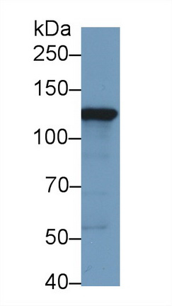 9702