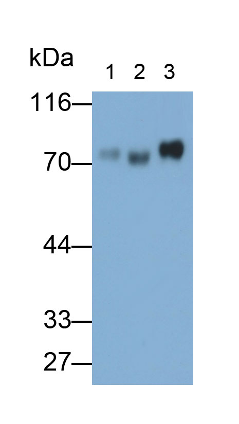 31822
