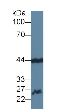 12413