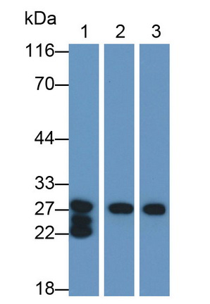 10059