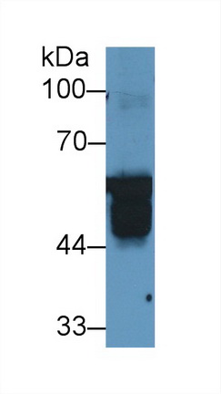 13112