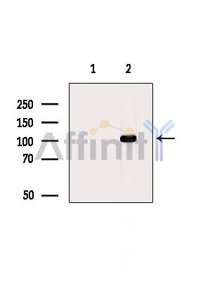Валидация Affinity DF14340 - 10244