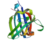 Superoxide Dismutase, Copper Chaperone (SOD4)