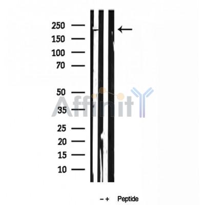 Валидация Affinity DF12022 - 6039