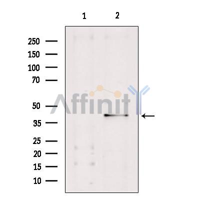 Валидация Affinity DF6441 - 17819
